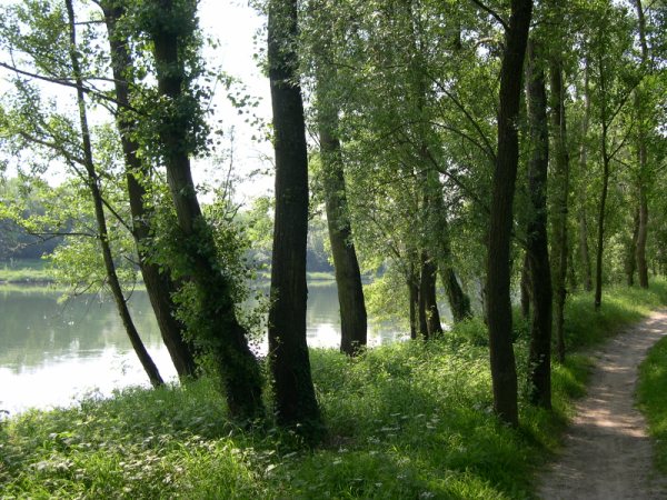 Berges du Rhône à Grigny